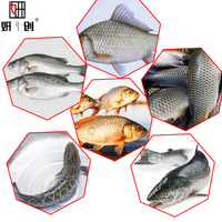 Yanchuang Direct Sales Jalur Konveyor Sabuk untuk Pengolahan Daging Kambing, Domba, Sapi, Babi, Ikan, dan Makanan Laut