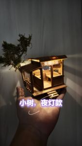 Lampe de décoration de <span class=keywords><strong>maison</strong></span> <span class=keywords><strong>en</strong></span> <span class=keywords><strong>bois</strong></span> de bureau et poisson pour <span class=keywords><strong>kit</strong></span> de matériaux d'aménagement paysager <span class=keywords><strong>écologique</strong></span> pour artisanat parent-enfant modèle de <span class=keywords><strong>maison</strong></span> de poupée - Product Image 2