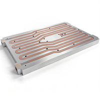 Plaque de refroidissement liquide en aluminium et cuivre sur mesure à prix d'usine, plaque froide en aluminium, plaque de refroidissement par eau pour la gestion thermique