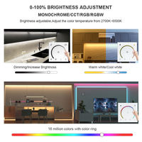 Contrôleur de variateur LED intelligent professionnel à écran tactile mural 12V 24V DMX certifié ROHS en plastique, installation facile