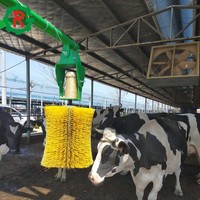 Brosse corporelle pour vache, machine à masser et à picoter les bovins