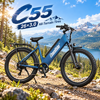 Sepeda Listrik Chamrider 26x3.0 Ban Gemuk Cargo Ebike 48V 55Ah Baterai 80Nm Torsi Tinggi Rem Cakram Hidrolik Pengantar Makanan C 55
