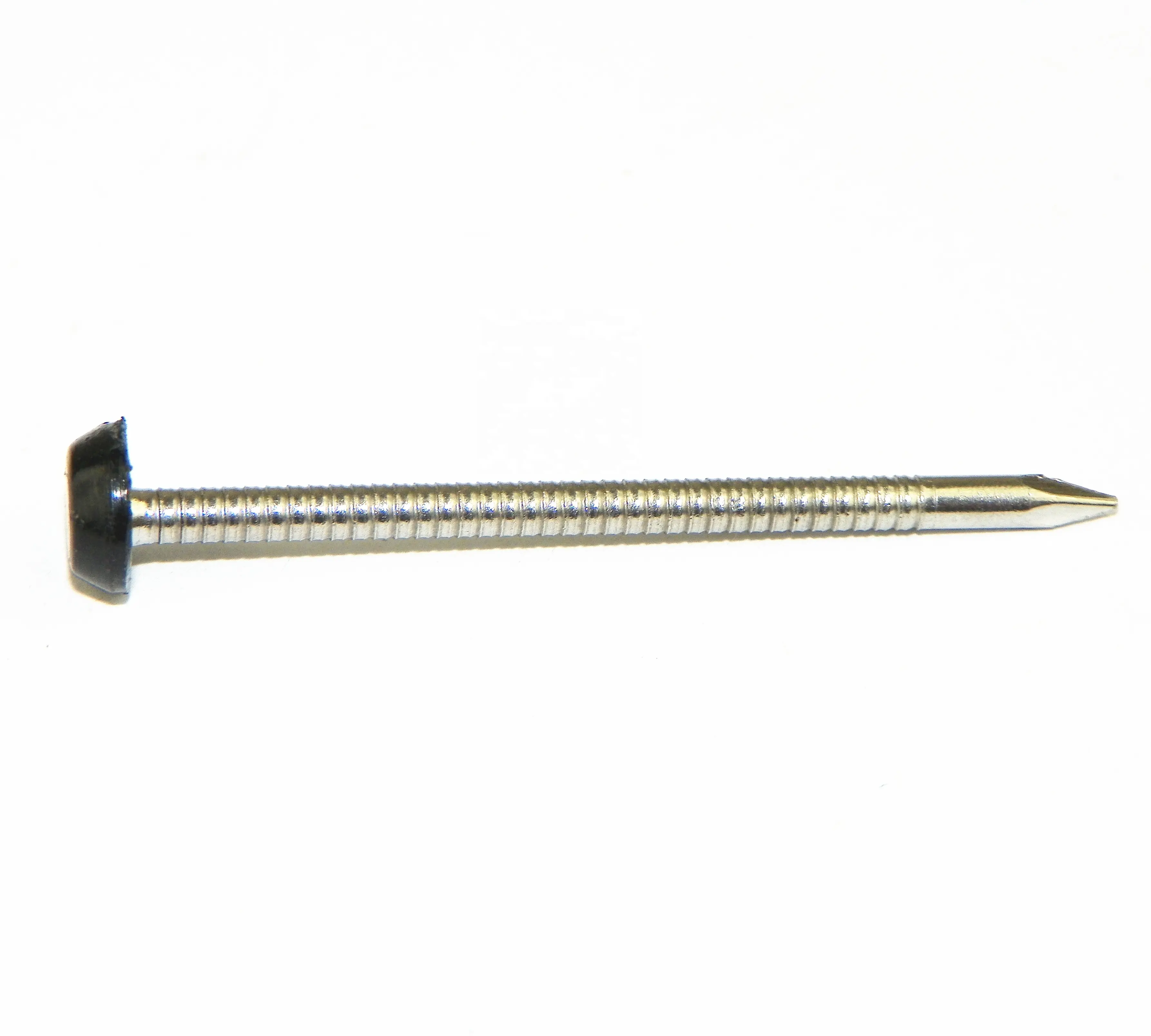 Plastic Cover head nails ss304 Plastic Head Pins PP Cap Nail sharp point ring shank Decorate Nails Real Manufacturer in China