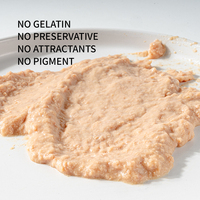 Bâtonnets de viande de saumon pour chat, friandises crémeuses pour l'entraînement, OEM ODM, vente chaude, pour la santé des félins