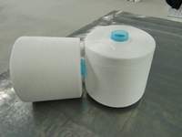 20S/2 40S/2 100% Polyester Spun Yarn