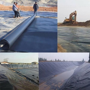 Ligne d'extrusion automatique de géomembrane HDPE LEADER de 6m à 8m de largeur avec moteur et roulement pour la production de granulés/filaments - Product Image 4