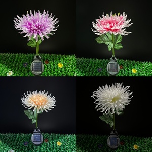 Led Light Ip65 Chrysanthemum Plug-In <span class=keywords><strong>Solar</strong></span> Tuinlamp Draadloze Controle Instelbare Kleur Temperatuur Glasvezel Verlichting Cri - Product Image 2