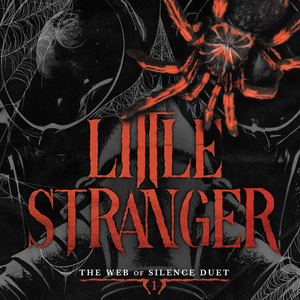 The Little Stranger (<b>Paperback</b>) A Chilling Gothic Masterpiece (Wholesale supply) - Product Image 1