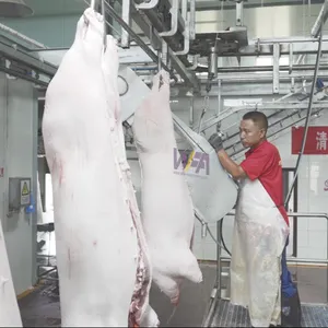 Máquina de matadero de cerdos para matadero de cerdos de carnicería humana para equipo de matadero de cerdos