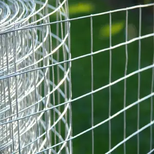 Clôture en treillis métallique soudé galvanisé Clôture de ferme en treillis métallique Cage à poulets