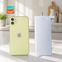 Motor Tirai Listrik Pintar Tuya ZigBee Mini Tersembunyi 1.2N.m AC100-240V untuk Rel Tirai 6m, Kontrol Sentuh, Alexa, Google Home