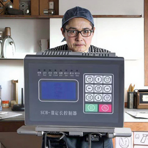 Commercio all'ingrosso della fabbrica di SCH-II lunghezza di fissaggio del Computer regolatore di posizione sacchetto di taglio che fa le parti della macchina - Product Image 4