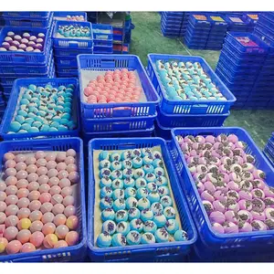 Bombe da bagno di lusso a sfera frizzante bombe da bagno di lusso per bambini