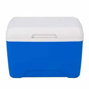 Foldable Drink Outdoor Cooler Box Camping Picnic Insulated Cooler Box 8L