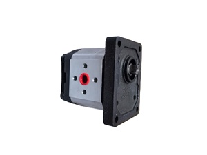 Piezas y componentes de equipos de ingeniería agrícola, bomba de engranajes C901-F310-005 - Product Image 3