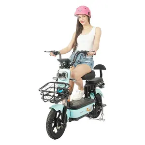 price electric bicycle Market In Delhi | Cheapest electric bicycles low price | Alan Zheng