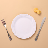 Assiettes en papier blanches de 6, 7 et 9 pouces en gros, assiettes en papier blanches non enduites, assiettes à dessert jetables pour tous les jours, petites assiettes en papier en vrac