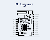Módulo BLE Inalámbrico MinewSemi 5.3 Bluetooth TLSR8258 Transceptor Mesh IEEE 802.15.4 Zigbee 2.4GHz Módulos IoT ME52BS01