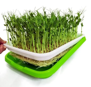 Bac de culture pour micro-légumes en <span class=keywords><strong>plastique</strong></span> PP, bac de germination de graines de jardin, boîte de culture pour <span class=keywords><strong>semis</strong></span> - Product Image 3