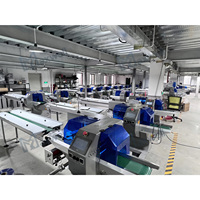 Machine d'emballage de coussins avec vitesse d'emballage réglable, s'adapte à différentes exigences de capacité de production