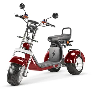 ثلاثة عجلة سكوتر الكهربائية Rooder trike r804t9 cp9 4000w 20ah 40ah للبيع