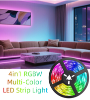Bande LED RGBW SMD5050 DC24V, contrôle intelligent RGBW, changement automatique, 84 LED/m, 12 mm, bande lumineuse décorative pour la maison, les fêtes, les bars, les festivals