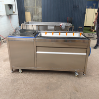 RVS Cassave Aardappel Wortelgroente Borstelrol Schiller Water Spuitende Hoge Efficiëntie 500-800kg/u Schilmachine