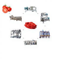 Ligne de production de machines de traitement d'emballage pour la fabrication de concentré de pâte de sauce ketchup purée de tomates 100tpd-1500tpd