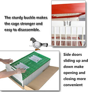 Gabbia per il Trasporto di Pollame per Polli, Colombi e Uccelli - Product Image 6