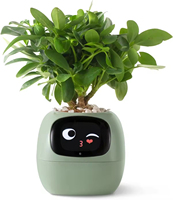 Robot de bureau décoratif éducatif pour enfants CBYD multicolore, alimenté par batterie, compatible WiFi, intelligent, plus de 49 expressions