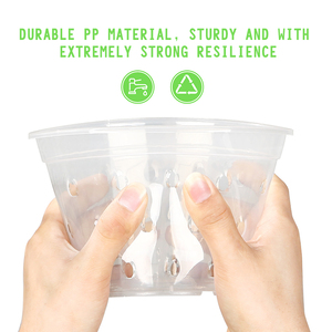 <span class=keywords><strong>Pot</strong></span> à orchidées en plastique transparent en gros, écologique, durable, respirant à 360 degrés, contrôle des racines, <span class=keywords><strong>colonne</strong></span> d'air, jardinage, pots à fleurs pour la maison - Product Image 4