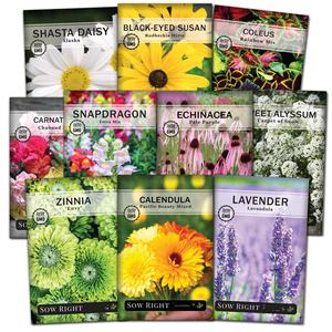 Cimelio Non-ogm fiore scrofe collezione 10 pacchetti Coleus <span class=keywords><strong>garofano</strong></span> margherita Calendula Snapdragon Zinnia per piante <span class=keywords><strong>di</strong></span> fiori e crescono - Product Image 1