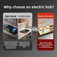 Cuisinière électrique chinoise double foyer 6000W à poser, écologique, avec effet de flamme et garantie de deux ans