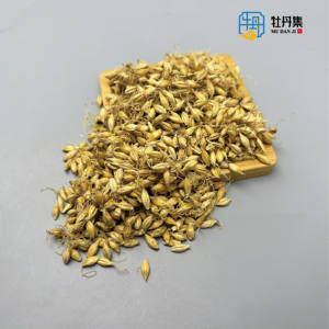 Para Maltesers Barley Fructus Hordei Germinatus Mai Ya Single Spices & Herbs Malt Beverage - Product Image 3