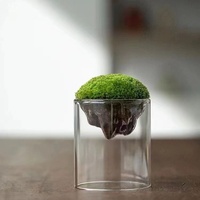 Botella ecológica de micropaisaje creativo de alto valor, botella de musgo de vidrio transparente grueso para plantas hidropónicas transfronterizas