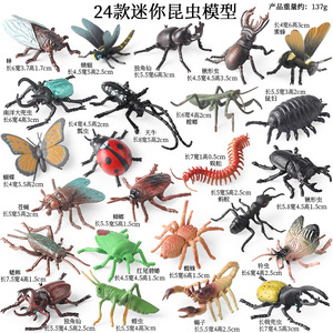 Modelos de Insectos Realistas para Niños, Abeja, Araña, Libélula, Mariposa, Centipeda, Caballito de Campo, Hormiga, Mantis, Decoración Educativa para Escritorio - Product Image 6