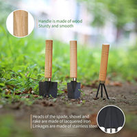Set di 3 Attrezzi da Giardinaggio con Manico in Legno, Paletta in Ferro, Mini Vanga per Piantare Fiori in Vaso, Scavatrice per Dissodare il Terreno, Fai-da-Te, Industriale, OEM
