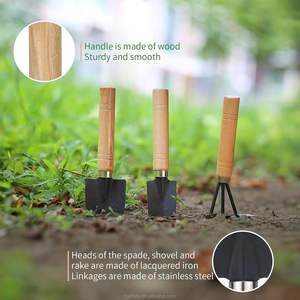 Lot de 3 outils de jardin en gros : truelle en fer à manche en bois, mini-chaufette pour plantation de fleurs en pot, bêche de déchauffage, pelle, DIY, industriel, OEM - Product Image 5