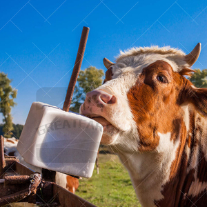 5 kg gia súc và cừu liếm gạch Muối Thêm 11 chất dinh dưỡng động vật dinh dưỡng cao muối khoáng khối đá liếm - Product Image 4