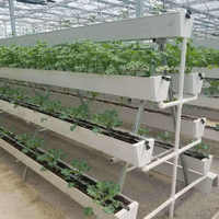 Système hydroponique vertical A-ONE Square Commercial High Gully Gutter pour la culture de fraises, canal NFT, garantie 1 an, film de protection