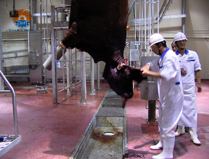 Chaîne de traitement d'usine d'abattoir de vache composants de noyau moteur de roulement de pompe à moteur transportent la machine de rail pour l'abattage de bétail - Product Image 3