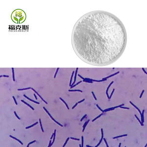 Suministro de Polvo Probiótico de Alta Calidad para Yogur, <span class=keywords><strong>Lactobacillus</strong></span> <span class=keywords><strong>Bulgaricus</strong></span> - Product Image 2