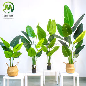 Arbres et bananier artificiels de bonsaï de PE vert simulé élevé pour la décoration d'intérieur en vente - Product Image 3