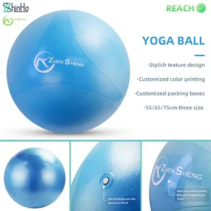 Zhensheng personnalisé bleu PVC Pilates Fitness exercice Yoga balle de gymnastique anti-éclatement