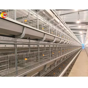 Venta directa de fábrica Kenia Aves de Corral Granja de pollos 500 Pájaros Capa de huevo automática Jaulas de pollo Tipo H Jaula de capa de pájaro de 10000 capas