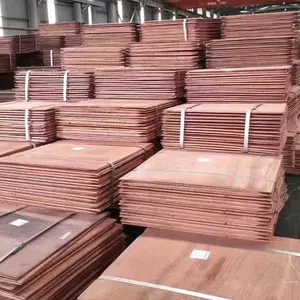 C60800 C63020 C65500 C68700 T3 T4 T5 Bronze Copper Plate Sheet For Condenser