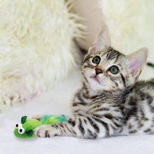 Premium 5 giocattoli interattivi per gatti con piume di erba gatta Multi-colore per topi con coda di piume lunghe scatola di stoffa resistente per gatti - Product Image 2