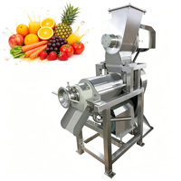 Extracteur de jus automatique à spirale à froid pour céleri, oignon et légumes verts – Machine à jus saine
