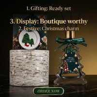 Ensemble cadeau diffuseur à bâtonnets Eno OEM Arbre de Noël, en verre transparent, parfum d'ambiance pour la maison, ornement en céramique, base en bouleau, décoration de fêtes