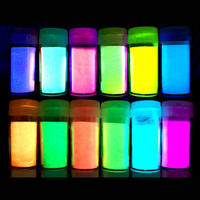 Pigments de couleur néon multifonctions, 12 couleurs, brillent dans la nuit, bleue, verte, pigmentés, longue durée, peinture pour sol